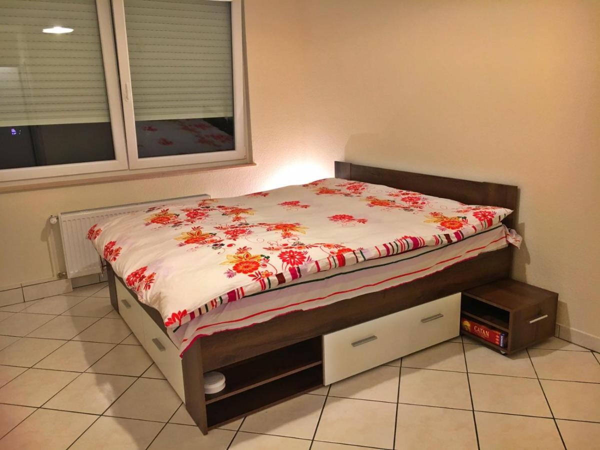 Cozy Studio Apart - King Bed - Netflix - Projector - Fast Wi-Fi 卢森堡 外观 照片